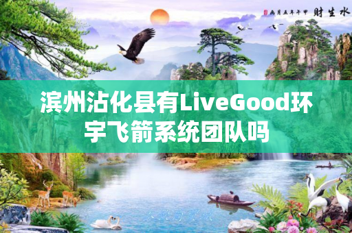 滨州沾化县有LiveGood环宇飞箭系统团队吗