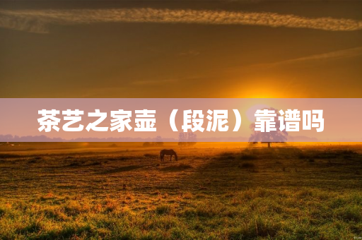 茶艺之家壶（段泥）靠谱吗