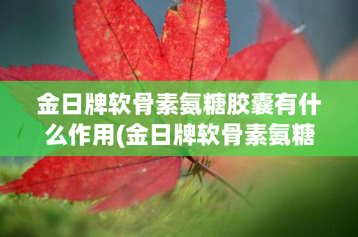 金日牌软骨素氨糖胶囊有什么作用(金日牌软骨素氨糖胶囊的作用)
