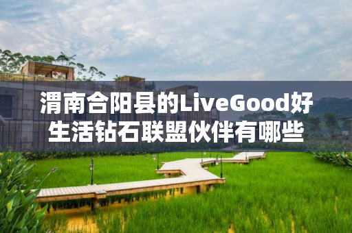 渭南合阳县的LiveGood好生活钻石联盟伙伴有哪些