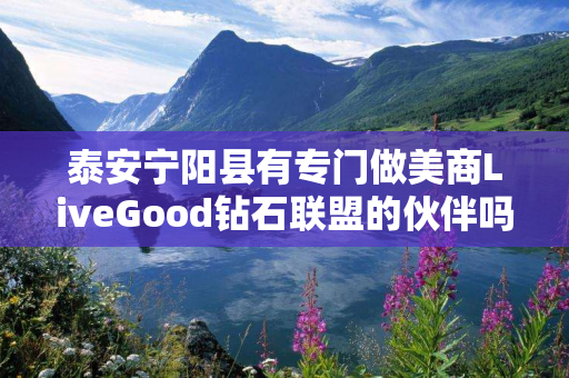 泰安宁阳县有专门做美商LiveGood钻石联盟的伙伴吗