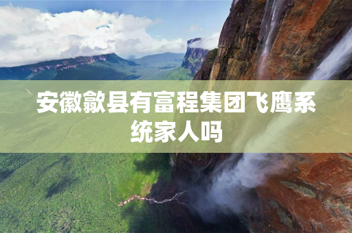 安徽歙县有富程集团飞鹰系统家人吗