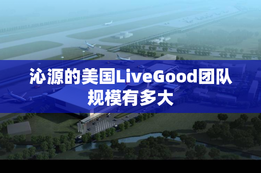 沁源的美国LiveGood团队规模有多大