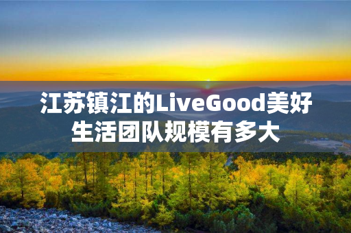 江苏镇江的LiveGood美好生活团队规模有多大