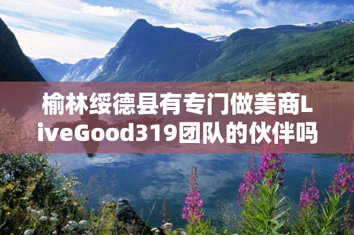 榆林绥德县有专门做美商LiveGood319团队的伙伴吗