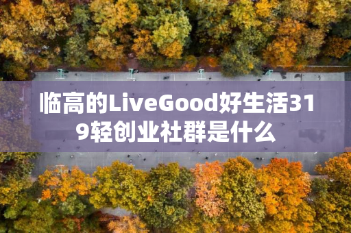 临高的LiveGood好生活319轻创业社群是什么