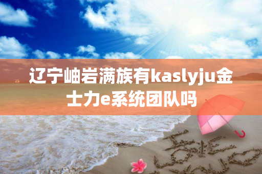 辽宁岫岩满族有kaslyju金士力e系统团队吗