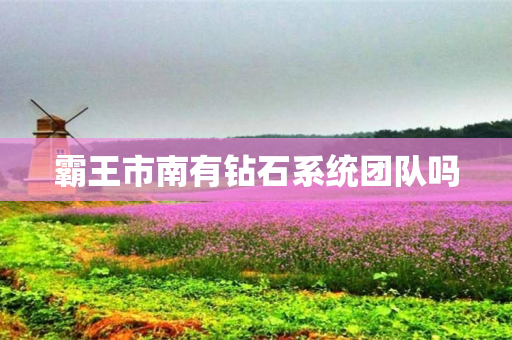 霸王市南有钻石系统团队吗