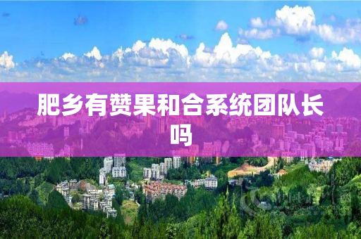 肥乡有赞果和合系统团队长吗