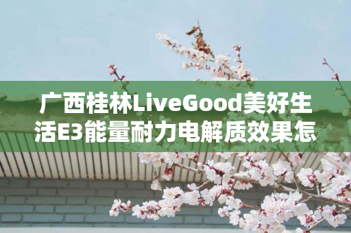 广西桂林LiveGood美好生活E3能量耐力电解质效果怎么样