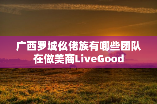 广西罗城仫佬族有哪些团队在做美商LiveGood