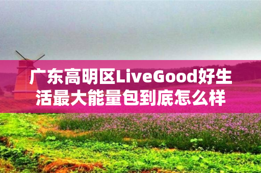 广东高明区LiveGood好生活最大能量包到底怎么样