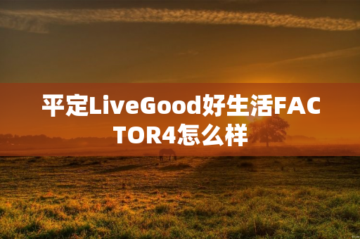 平定LiveGood好生活FACTOR4怎么样