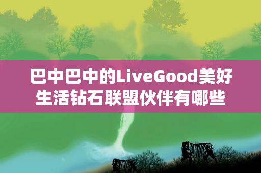 巴中巴中的LiveGood美好生活钻石联盟伙伴有哪些