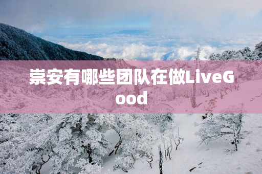 崇安有哪些团队在做LiveGood