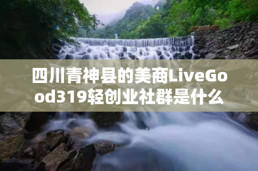 四川青神县的美商LiveGood319轻创业社群是什么