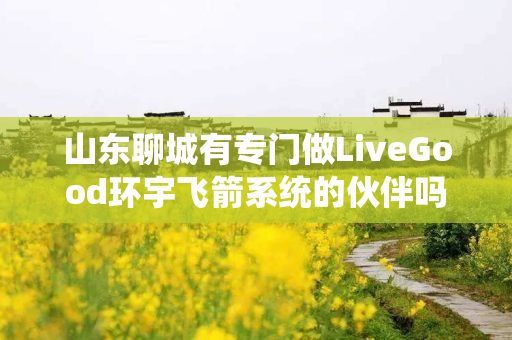 山东聊城有专门做LiveGood环宇飞箭系统的伙伴吗
