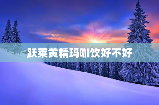 跃莱黄精玛咖饮好不好