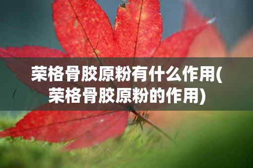 荣格骨胶原粉有什么作用(荣格骨胶原粉的作用)