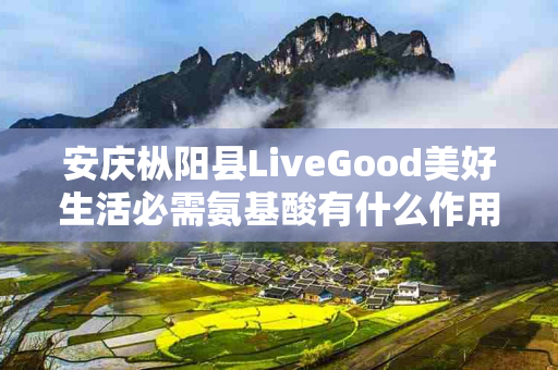 安庆枞阳县LiveGood美好生活必需氨基酸有什么作用
