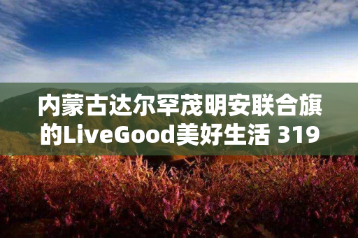 内蒙古达尔罕茂明安联合旗的LiveGood美好生活 319团队在哪里