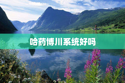 哈药博川系统好吗