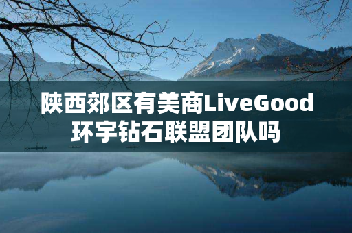 陕西郊区有美商LiveGood环宇钻石联盟团队吗