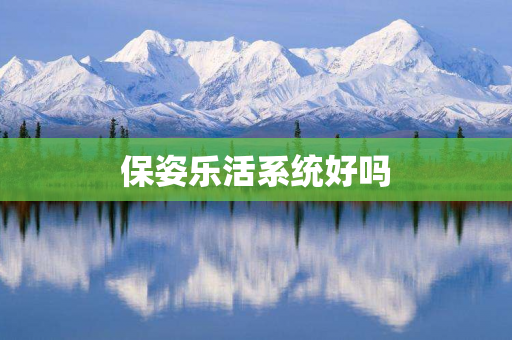 保姿乐活系统好吗