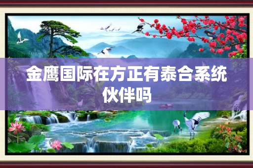 金鹰国际在方正有泰合系统伙伴吗