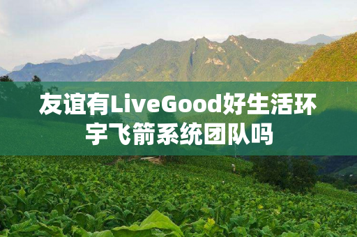 友谊有LiveGood好生活环宇飞箭系统团队吗