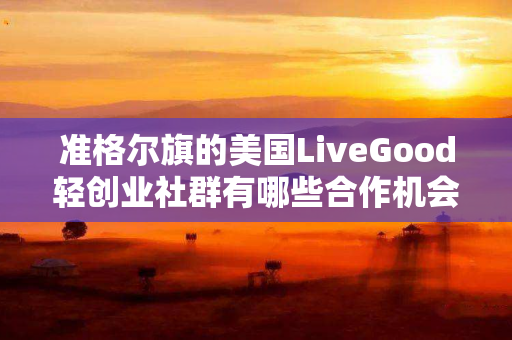 准格尔旗的美国LiveGood轻创业社群有哪些合作机会