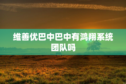 维善优巴中巴中有鸿翔系统团队吗
