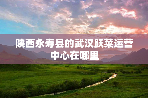 陕西永寿县的武汉跃莱运营中心在哪里