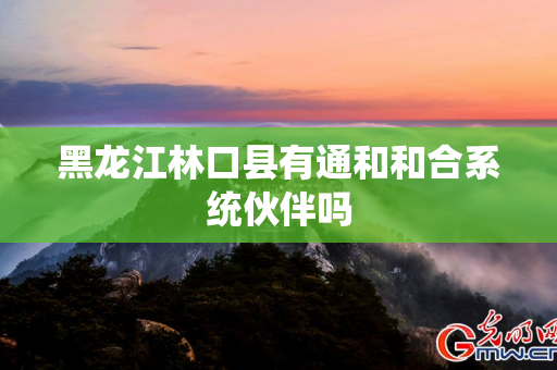 黑龙江林口县有通和和合系统伙伴吗