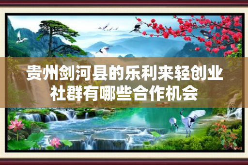 贵州剑河县的乐利来轻创业社群有哪些合作机会