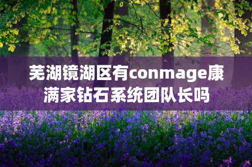 芜湖镜湖区有conmage康满家钻石系统团队长吗