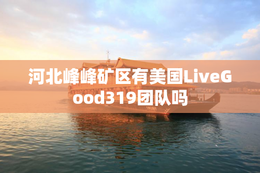 河北峰峰矿区有美国LiveGood319团队吗