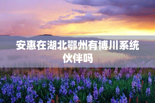 安惠在湖北鄂州有博川系统伙伴吗