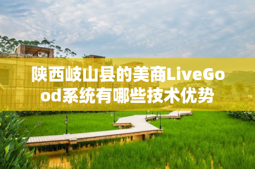 陕西岐山县的美商LiveGood系统有哪些技术优势