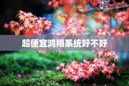 超便宜鸿翔系统好不好