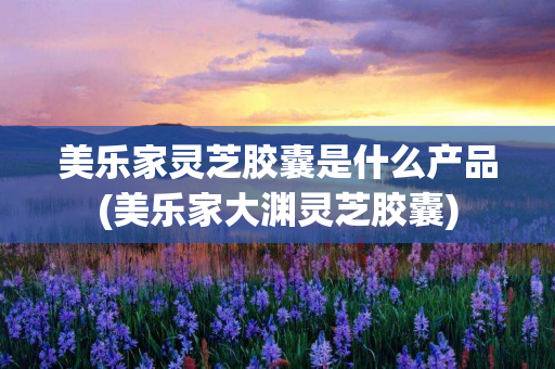 美乐家灵芝胶囊是什么产品(美乐家大渊灵芝胶囊)