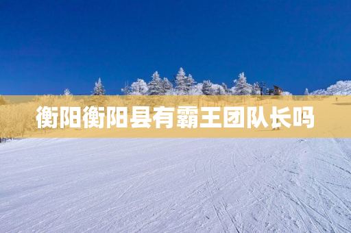 衡阳衡阳县有霸王团队长吗