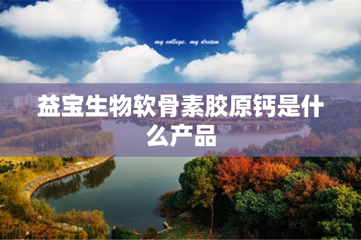 益宝生物软骨素胶原钙是什么产品