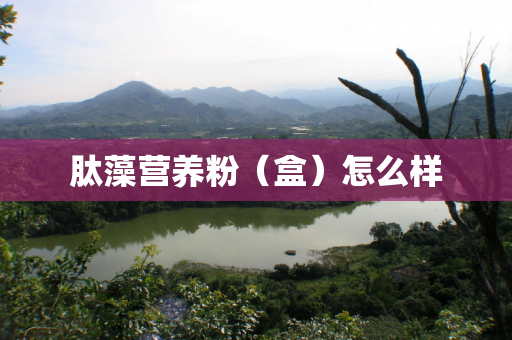 肽藻营养粉（盒）怎么样