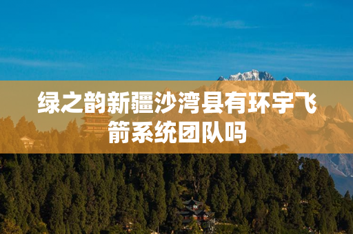 绿之韵新疆沙湾县有环宇飞箭系统团队吗