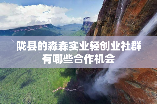 陇县的淼森实业轻创业社群有哪些合作机会
