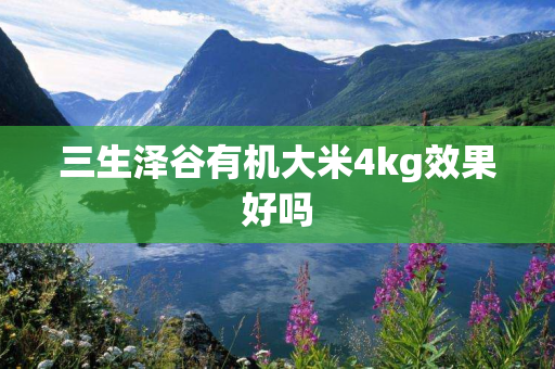 三生泽谷有机大米4kg效果好吗