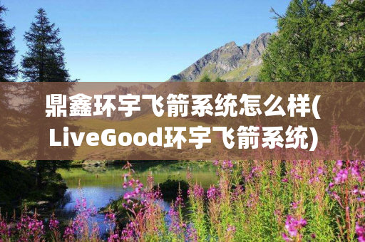 鼎鑫环宇飞箭系统怎么样(LiveGood环宇飞箭系统)