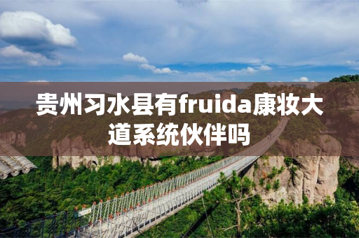 贵州习水县有fruida康妆大道系统伙伴吗