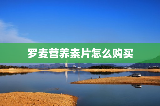 罗麦营养素片怎么购买